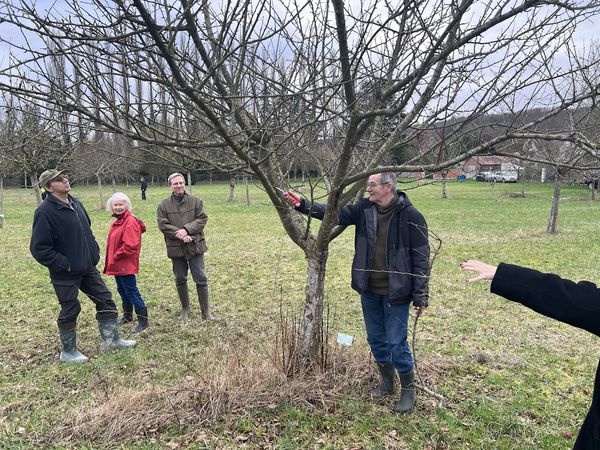 24.02.17 Essomes sur Marne IMG 3380