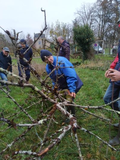 Extraction des vieux arbres IMG 20241205 WA0008