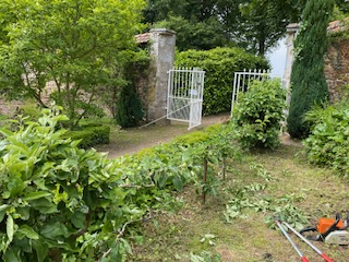 IMG 1423