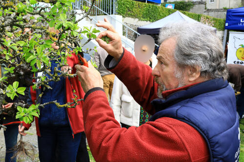 JARDIN ASSIETE 1b