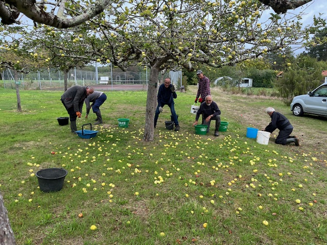 La cueillette pour le futur pressage