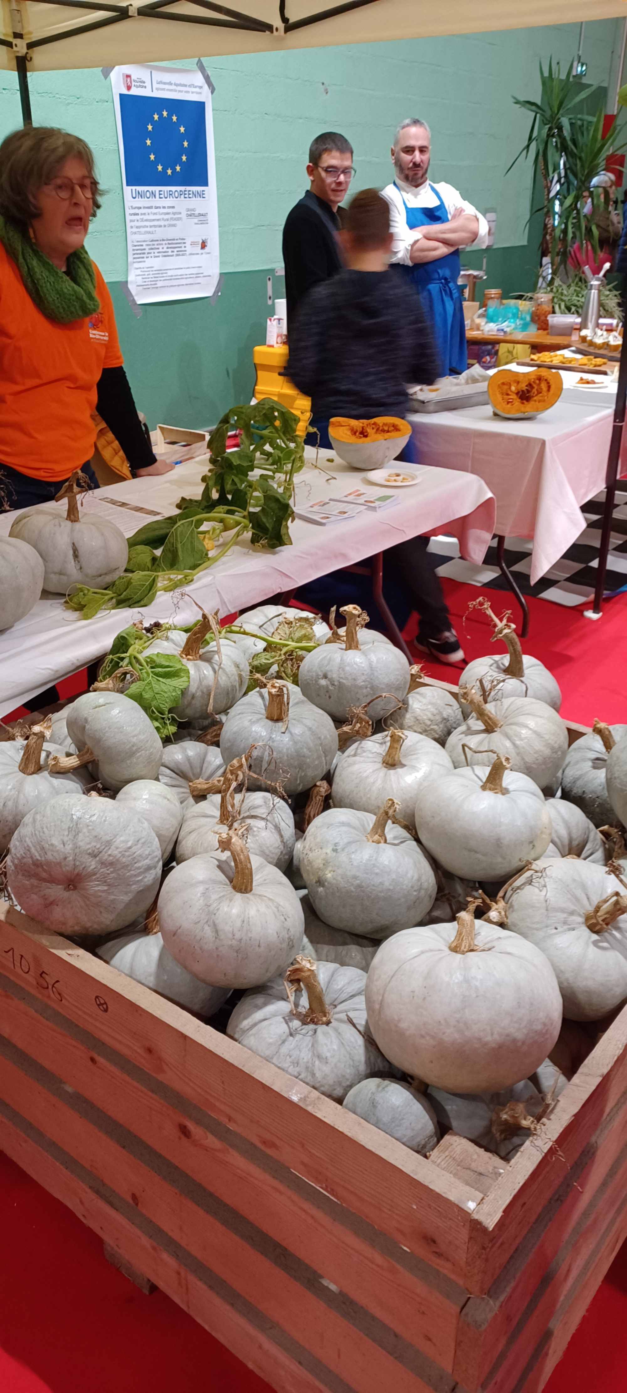 La courge bleue de HONGRIE