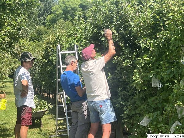 25.07.12 Beuvardes IMG 6576