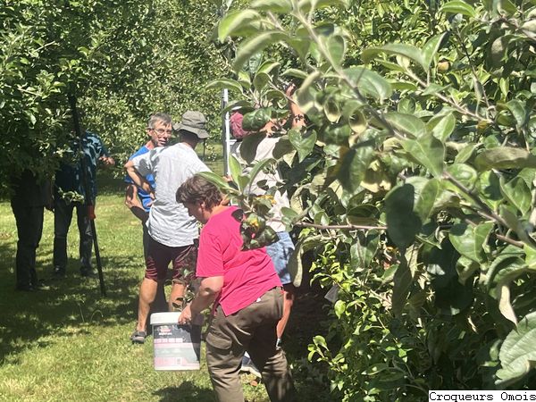 25.07.12 Beuvardes IMG 6577