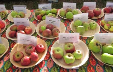 2021 Pupetières étail fruits