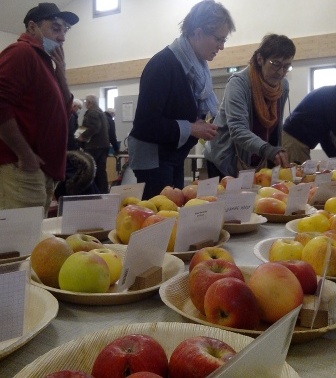 2022 11 AG expo fruits