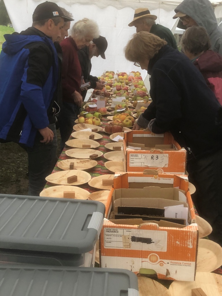 2024 Pupetières mise en place