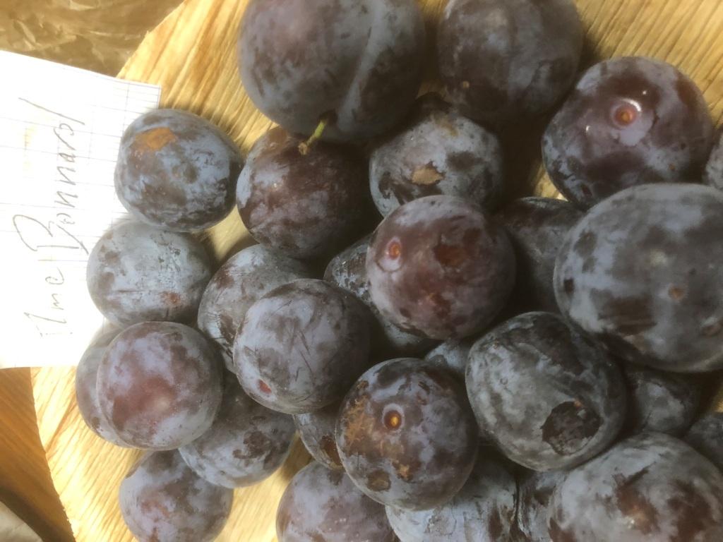 2025 mensuelle aout prunes Mme Bonnard