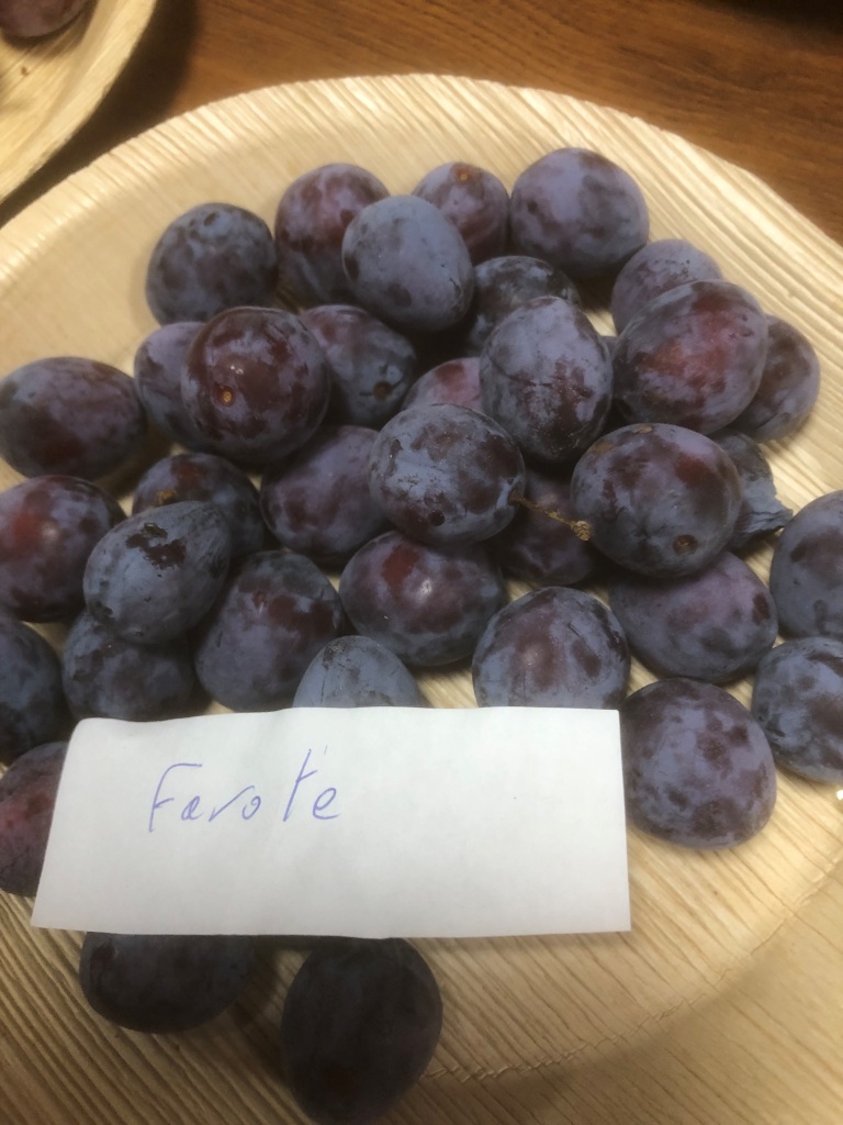 2025 mensuelle aout prunes Farotte ou prune salée
