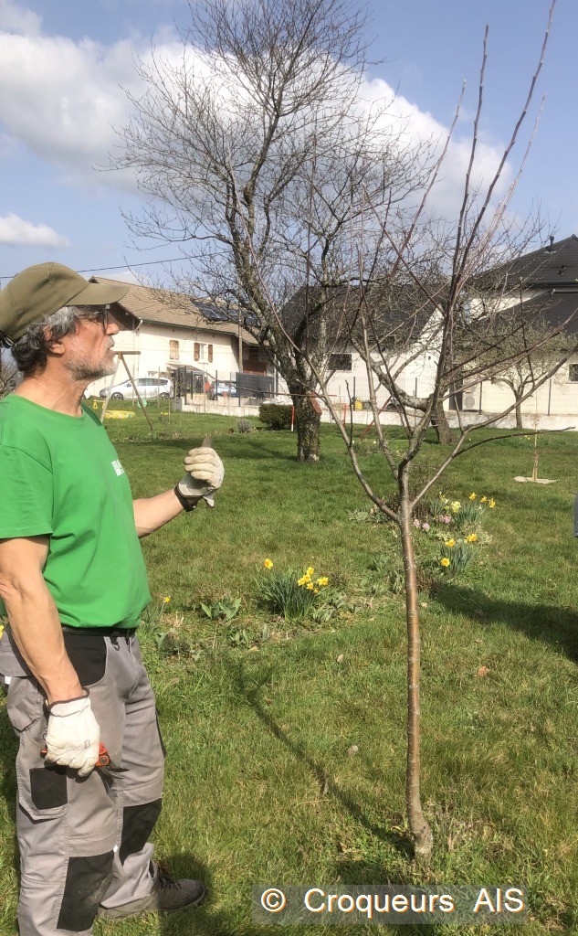 Phase dobservation c2i