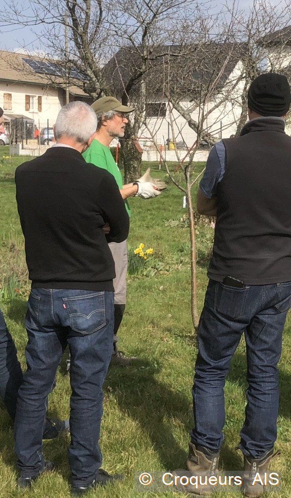 Quelques explications sur le comportement de larbre c2i