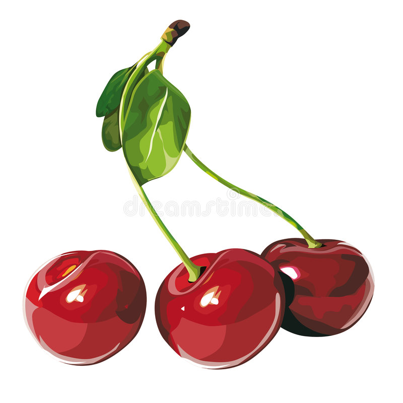 cerise 4682810