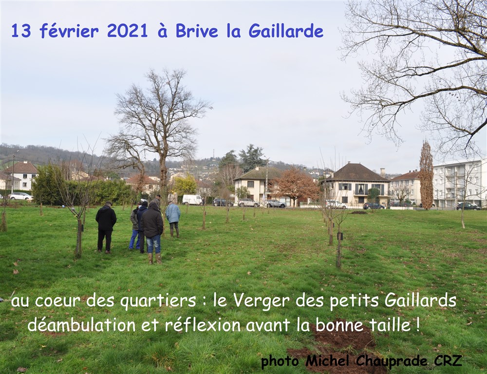 21 Verger Brive