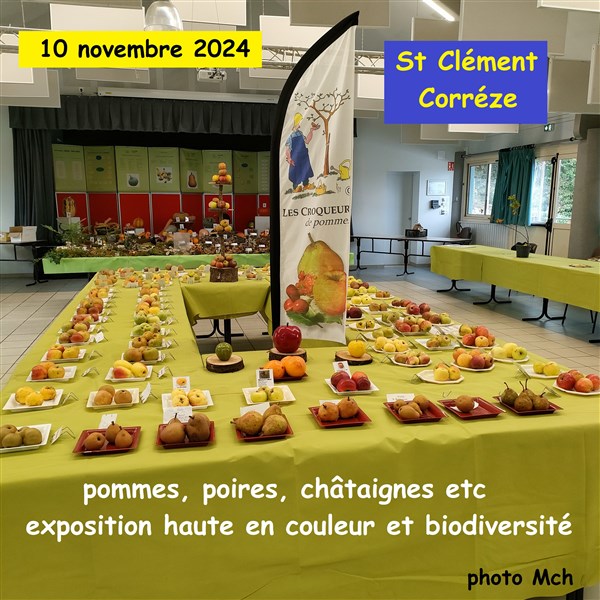 24 11St Clément