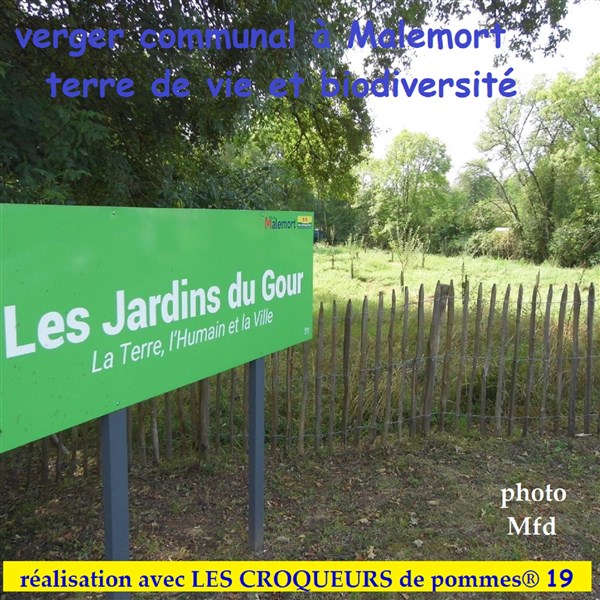24 Malemort