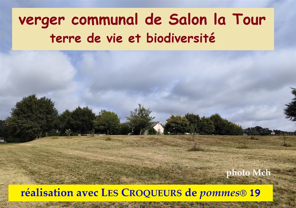 24 Verger de Salon la T