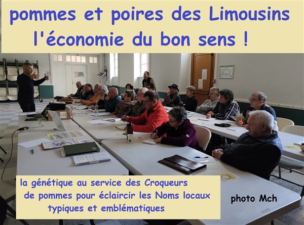 24 octobre 4