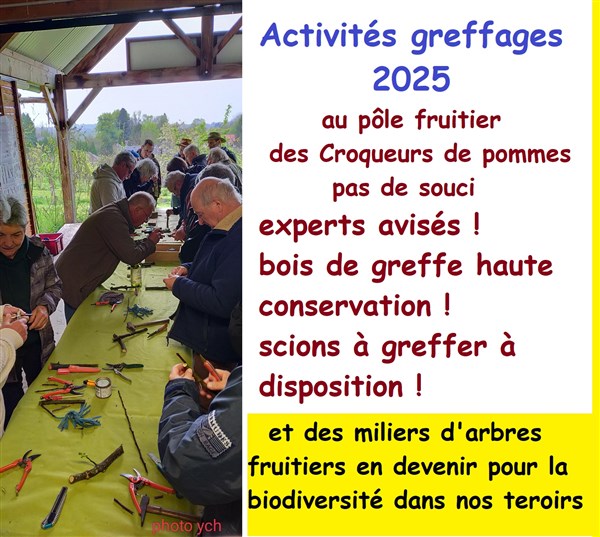 25 Greffages 1204