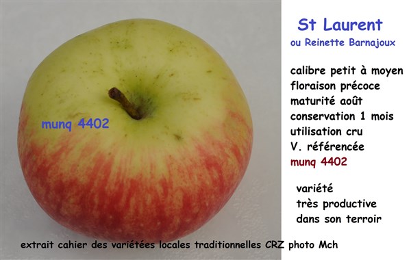 25 St Laurent 4402