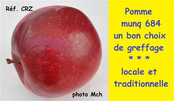 25 munq 684