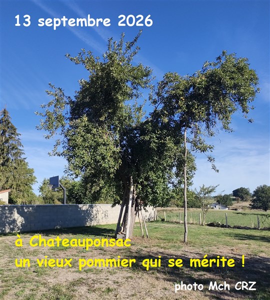 26 Renc régionale 6
