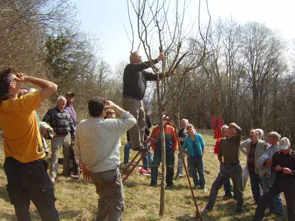Formation à la taille