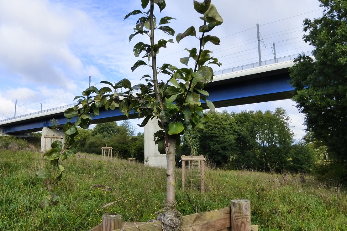 viaduc de la courbe