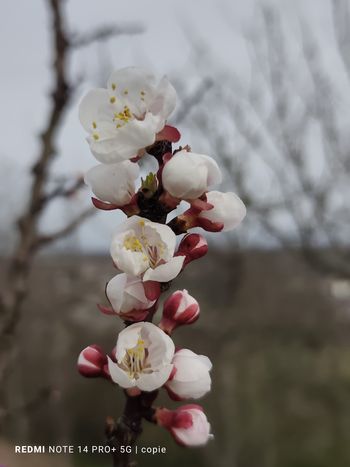 IMG 20250321 153749