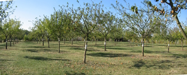 Veigné