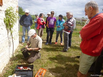 Greffe en écusson juillet 2015 02