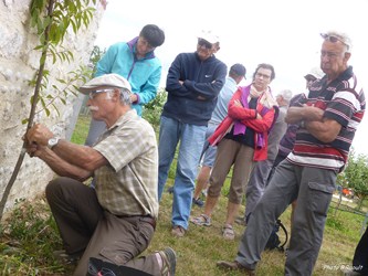 Greffe en écusson juillet 2015 03