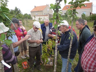 Greffe en écusson juillet 2015 05