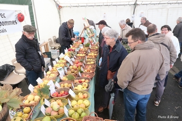 Pannes 2019 03