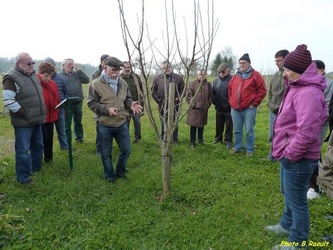 Taille formation mars 2016 01