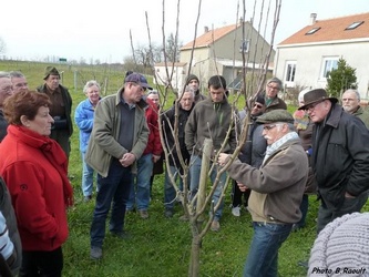 Taille formation mars 2016 02