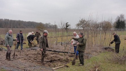 Travaux pépinière 2015 01