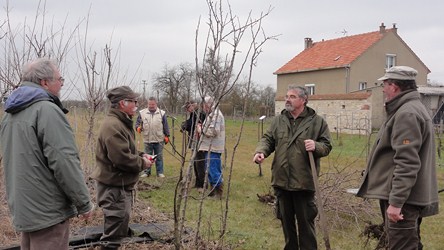 Travaux pépinière 2015 02