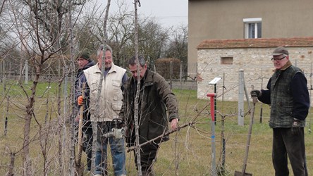 Travaux pépinière 2015 03