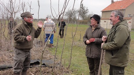 Travaux pépinière 2015 04