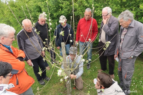 Vert 04 Mai 2019