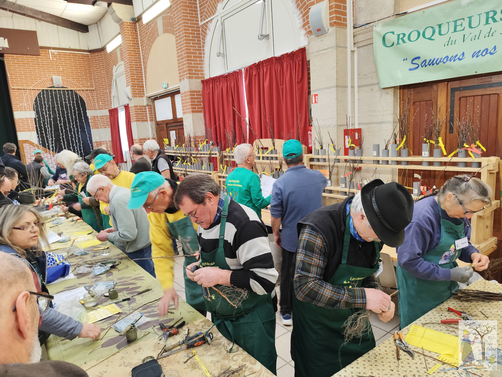 Atelier greffe site