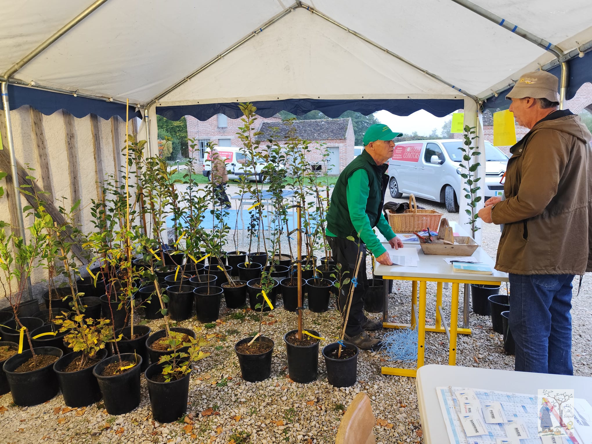 IMG 20251012 WA0010VDS