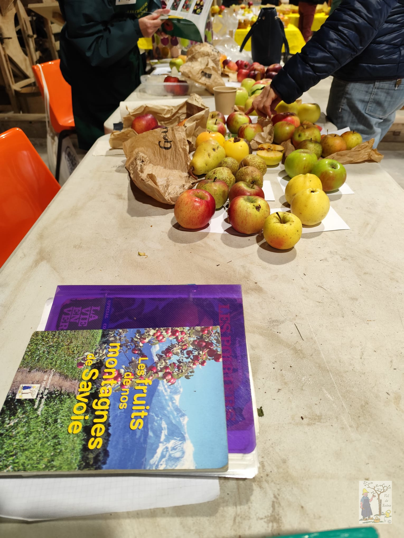 IMG 20251012 WA0013VDS