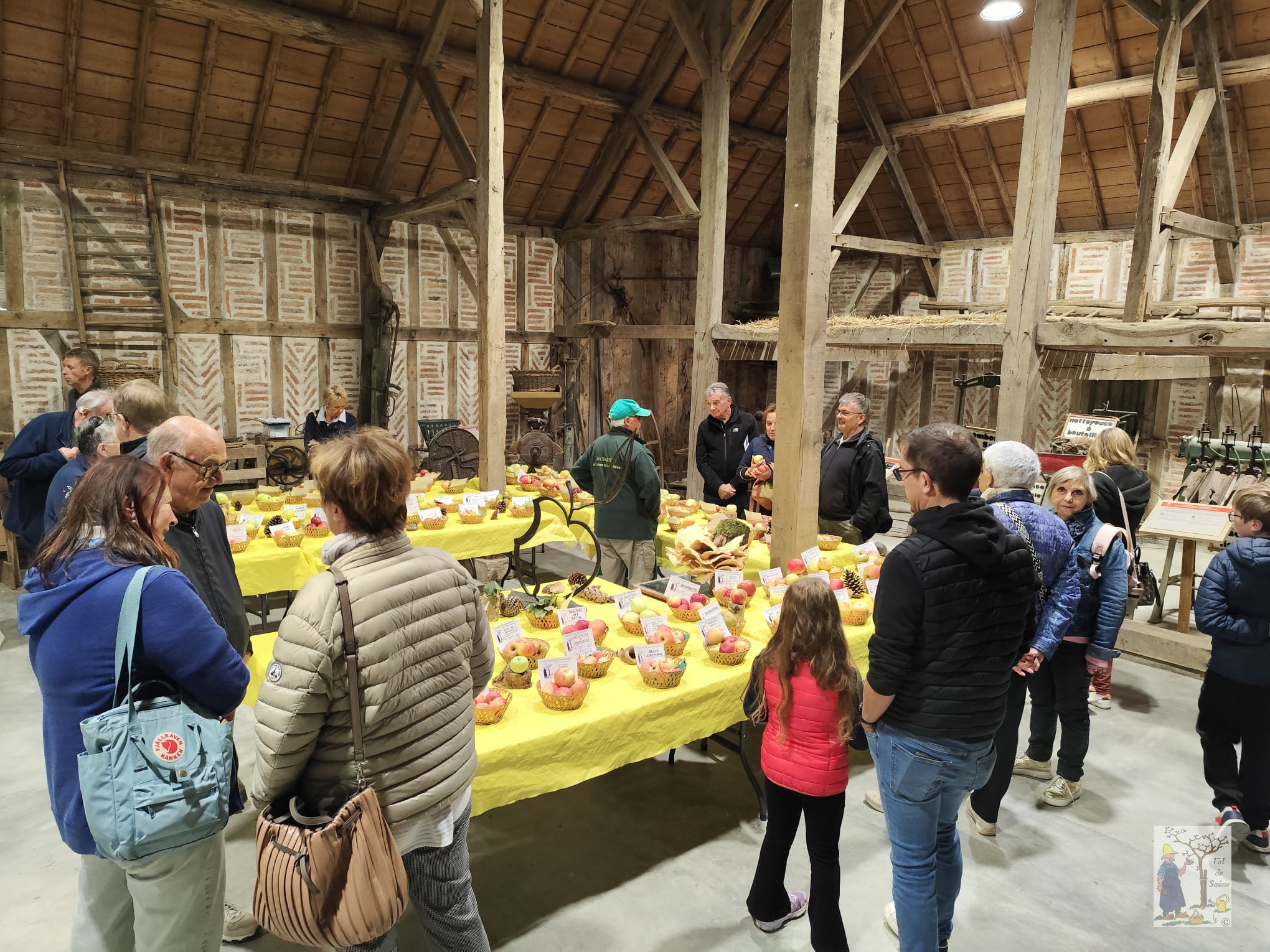 IMG 20251012 WA0014VDS