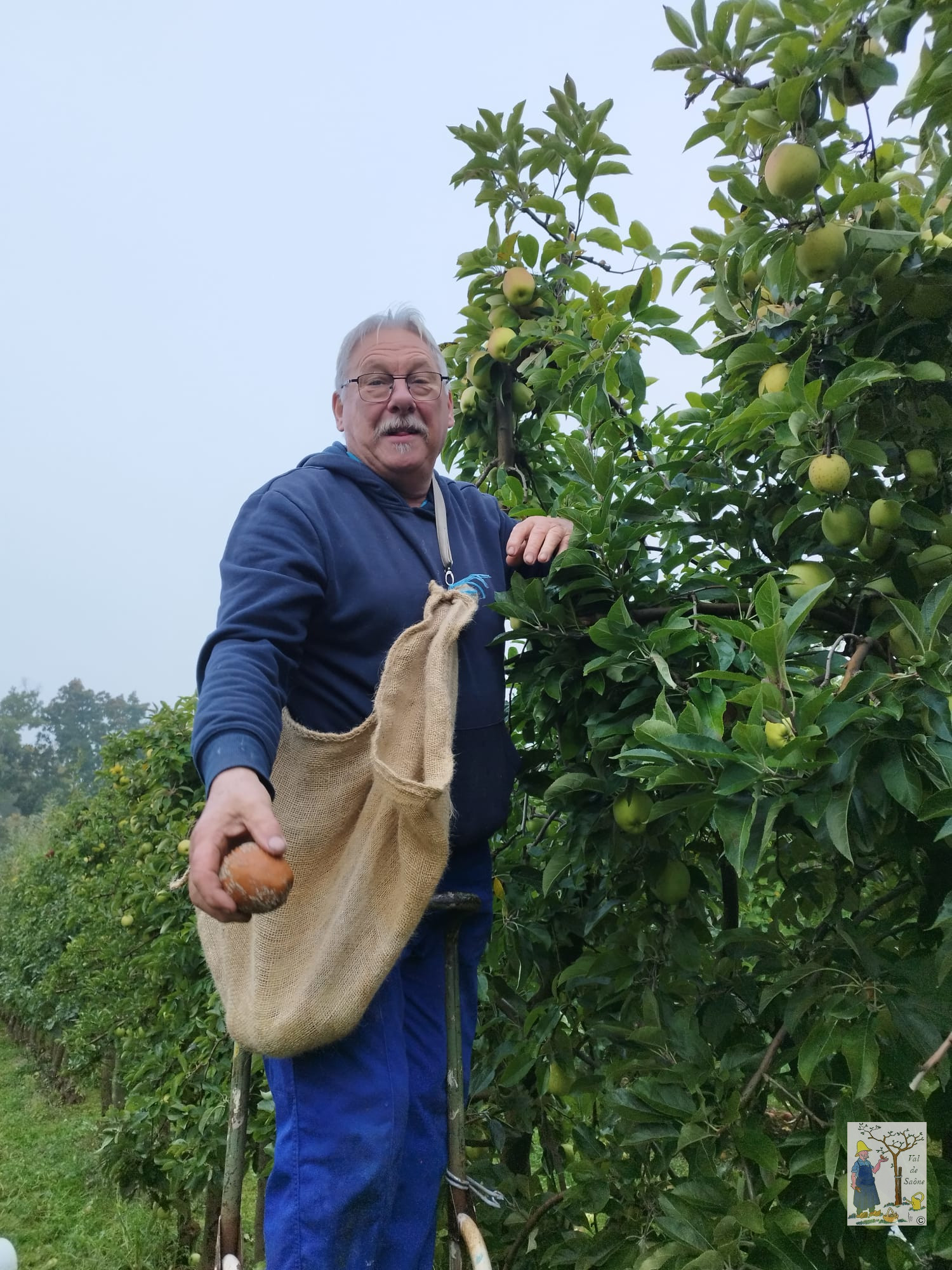 IMG 20251012 WA0020VDS