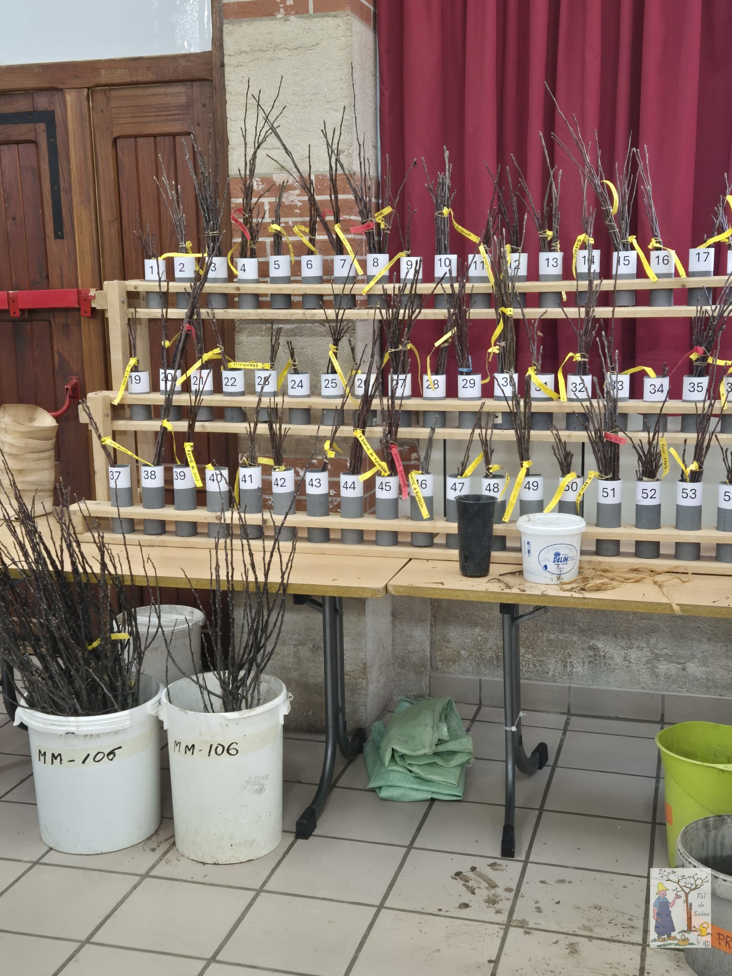 IMG 20260222 WA0003VDS