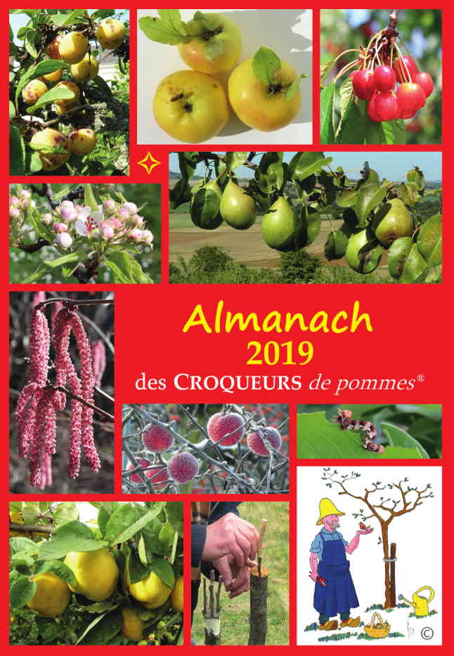 Almanach 2019 Couv presentation reduite