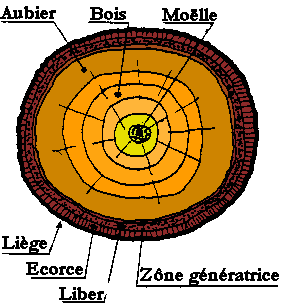 page21fig1