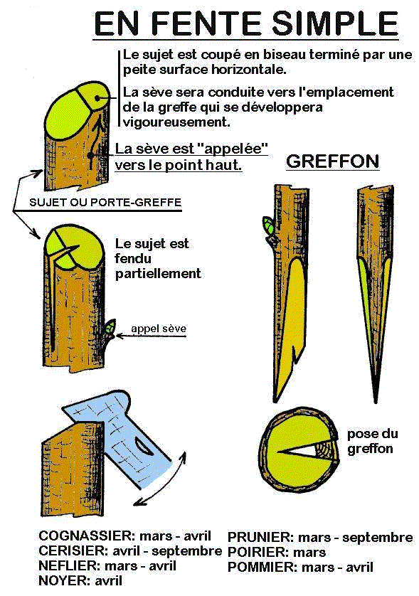 page23fig4