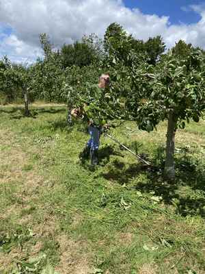 IMG_1580_ter_resultat.jpg